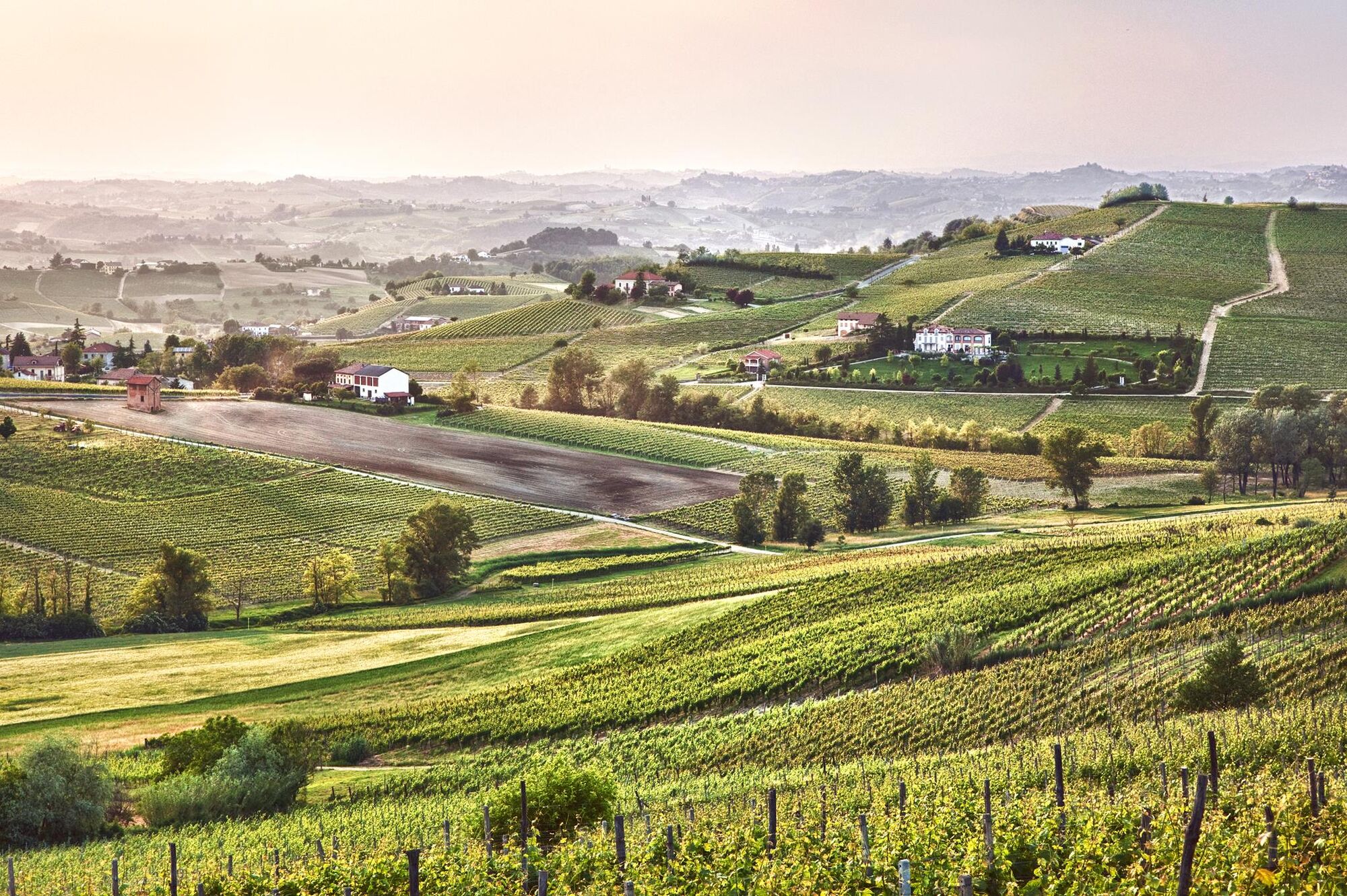Colline di vigneti intorno a Nizza Monferrato